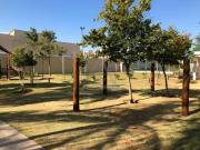 Apartamento à venda e para alugar em Campinas, Taquaral,...