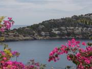 Apartamento Venta Andratx, Port d'Andratx