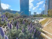 Apartamento Venta Barcelona Capital, Diagonal Mar El...