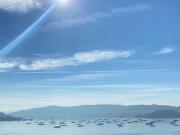 Apartamento Venta Pontevedra