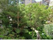 Apartamento Venta Santa Cruz de Tenerife Capital, La...