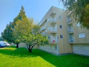 Apartamento, Viana do Castelo e Meadela