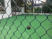 Apartamento, Vila Andrade, São Paulo, SP