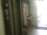 Apartamento, Vila Luzita, Santo André, SP