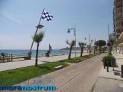 Apartamentos 1 Dormitorio Calonge CataluñaCatalonia...