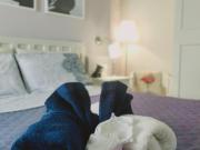 Apartamentos 1 Dormitorio Málaga Málaga ES84863707