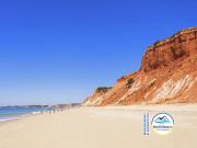 Apartamentos 1 quarto, Albufeira Albufeira DS79012030 Apartamentos 1 quarto, Albufeira Albufeira DS79012030