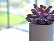 Apartamentos 1 quarto, Almada Almada 2810 022 ES94819281