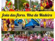 Apartamentos 1 quarto, Funchal Funchal 9000 ES92160520