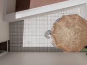 Apartamentos 1 quarto, Funchal Funchal DS77941603