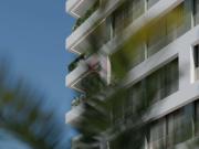 Apartamentos 1 quarto, Funchal Ilha da Madeira DS88441588