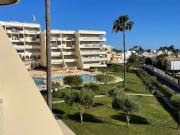 Apartamentos 1 quarto, Guia Guia DS86894241