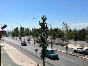 Apartamentos 1 quarto, Lisboa Lisboa DS94642328