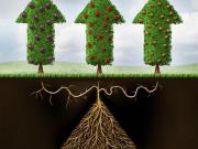 Apartamentos 1 quarto, Lisbon Lisbon DS96472563