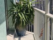 Apartamentos 1 quarto, Lisbon Lisbon ES77952463