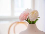 Apartamentos 1 quarto, Lisbon Lisbon ES97815657