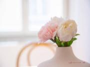 Apartamentos 1 quarto, Lisbon Lisbon ES99384849