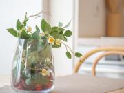 Apartamentos 1 quarto, Lisbon Lisbon ES99385359