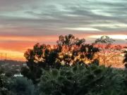 Apartamentos 1 quarto, Loulé Loulé DS94818912