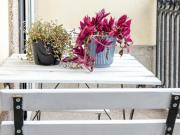 Apartamentos 1 quarto, Porto Porto 4000 071 DS94572155