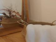 Apartamentos 1 quarto, Porto Porto 4300 025 ES56260467