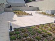 Apartamentos 1 quarto, Porto Porto DS84532765