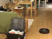 Apartamentos 1 quarto, Porto Porto ES94494685