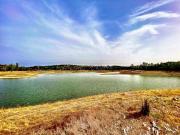 Apartamentos 2 Dormitorio Seville Seville ES85015935