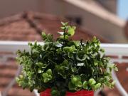 Apartamentos 2 quarto, Cascais Cascais DS77944472