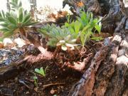 Apartamentos 2 quarto, Lagos Lagos DS87564765 Apartamentos 2 quarto, Lagos Lagos DS87564765