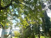 Apartamentos 2 quarto, Lisboa Odivelas 2675 DS96557097