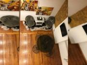 Apartamentos 2 quarto, Lisbon Lisbon 1900 069 ES80772136