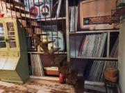 Apartamentos 2 quarto, Lisbon Lisbon ES77942258