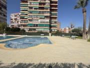 Apartamentos 3 Dormitorio Alacant Alacant ES89989034