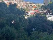 Apartamentos 3 quarto, Funchal Ilha da Madeira DS77904562 Apartamentos 3 quarto, Funchal Ilha da Madeira DS77904562