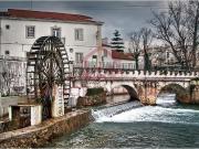 Apartamentos 3 quarto, Torres Novas Torres Novas DS96062468