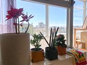 Apartamentos 4 quarto, Póvoa de Varzim Póvoa de Varzim...