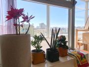 Apartamentos 4 quarto, Póvoa de Varzim Póvoa de Varzim...