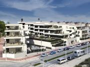 Apartamentos a un Paso del Mar en La Marina Alicante