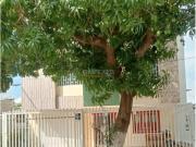 Apartamentos, Alquiler, Barranquilla