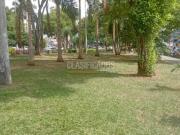 Apartamentos, Alquiler, El Cedro