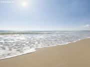 Apartamentos con Vistas al Mar en La Mata TORREVIEJA