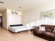 Apartamentos Seville Seville ELS48727490