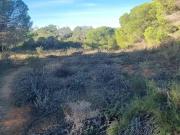 Apartamentos Silves Algarve DS97194060