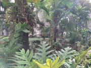 Apartamentos, Venta, El Limonar Apartamentos, Venta, El Limonar