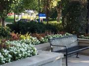 Apartment 1 Bedroom For Rent Burlington ON 1975 ES96247276