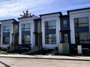 Apartment 1 Bedroom For Rent Calgary AB 1500 ES96255559