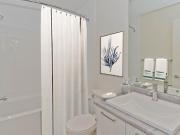 Apartment 1 Bedroom For Rent Calgary AB 1629 ES92562446