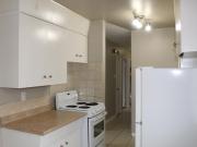 Apartment 1 Bedroom For Rent Edmonton AB 1079 ES88833859