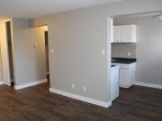 Apartment 1 Bedroom For Rent Edmonton AB 1126 ES89920381